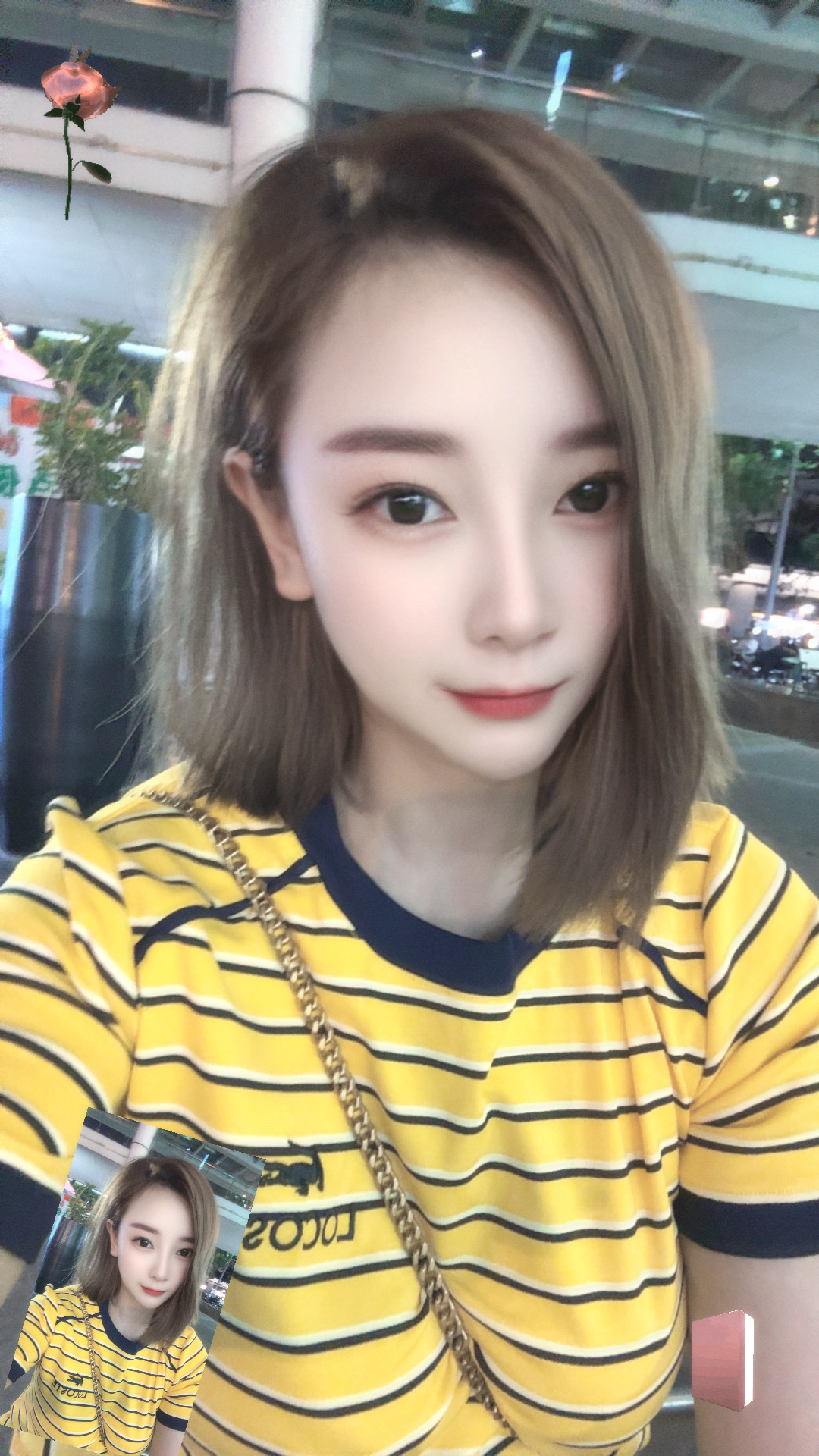 岘港私人伴游,岘港日租情人